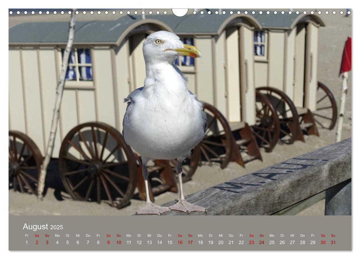 Bild: 9783435419388 | Norderney - Meine Trauminsel (Wandkalender 2025 DIN A3 quer),...