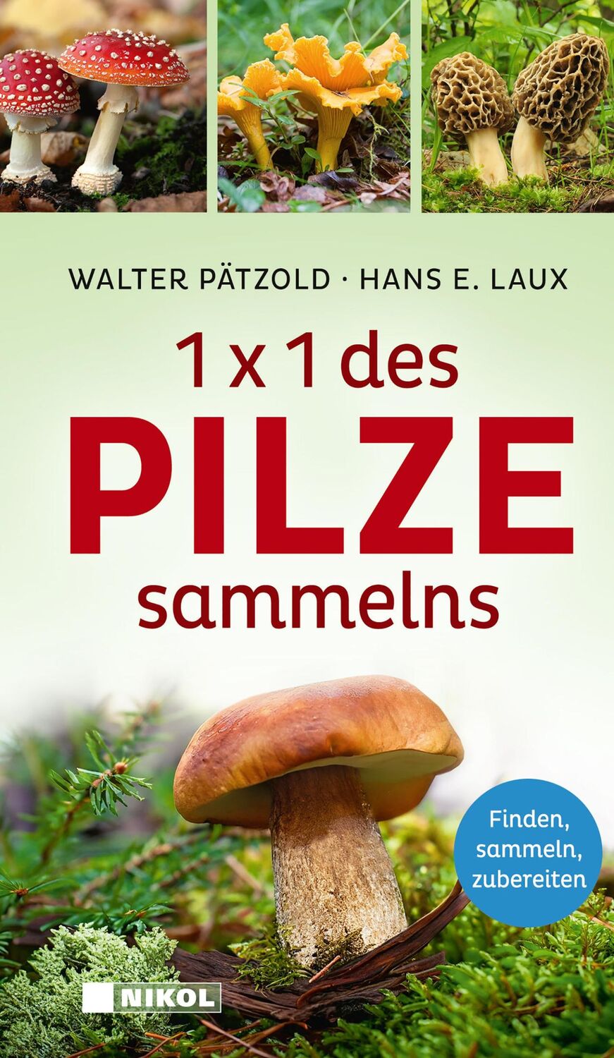 Cover: 9783868208306 | 1 x 1 des Pilzesammelns | Finden, sammeln, zubereiten | Buch | 320 S.