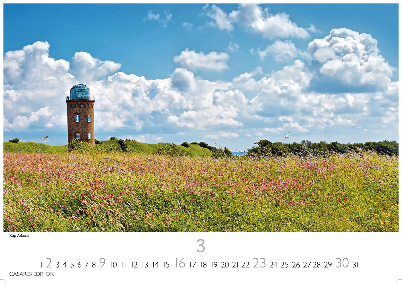 Bild: 9781835242902 | Rügen 2025 L 35x50cm | Hiddensee | Kalender | 14 S. | Deutsch | 2025