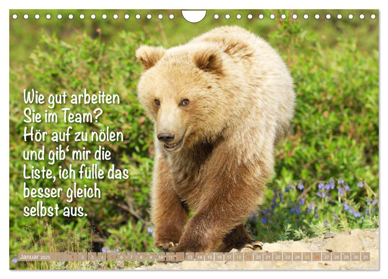 Bild: 9783383853494 | Spaß mit Bären: Edition lustige Tiere (Wandkalender 2025 DIN A4...