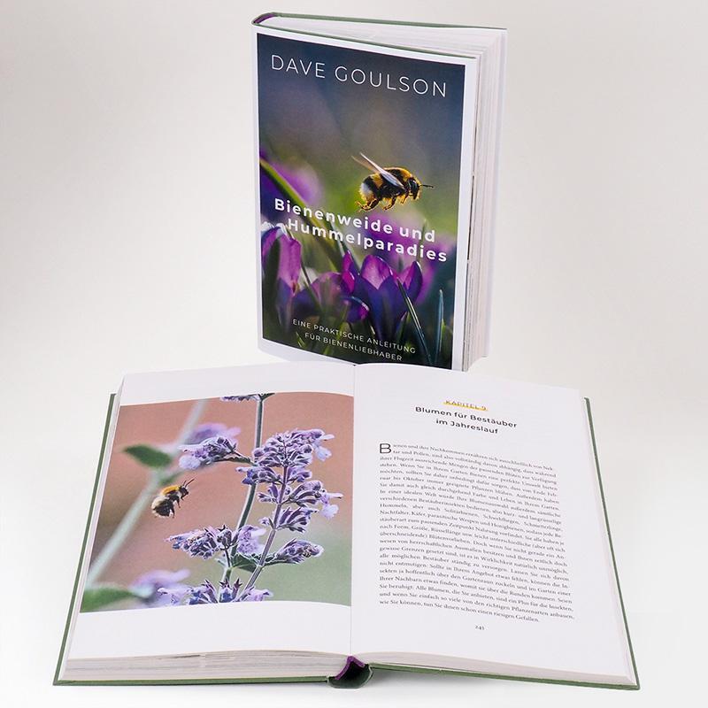 Bild: 9783446269293 | Bienenweide und Hummelparadies | Dave Goulson | Buch | 352 S. | 2021