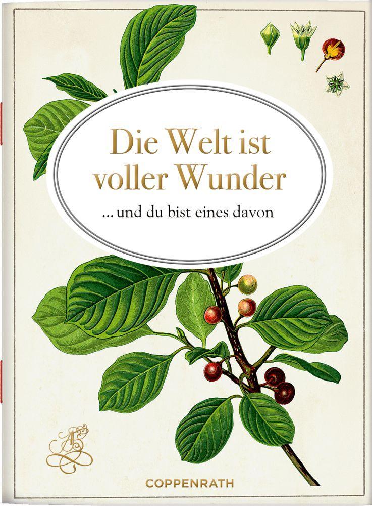 Cover: 9783649642725 | Die Welt ist voller Wunder | ... und du bist eines davon | Taschenbuch