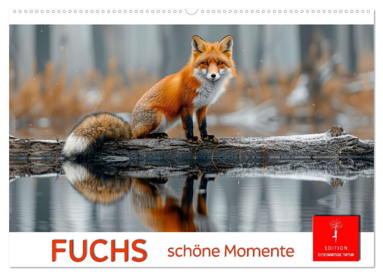 Cover: 9783383815225 | Fuchs - schöne Momente (Wandkalender 2025 DIN A2 quer), CALVENDO...