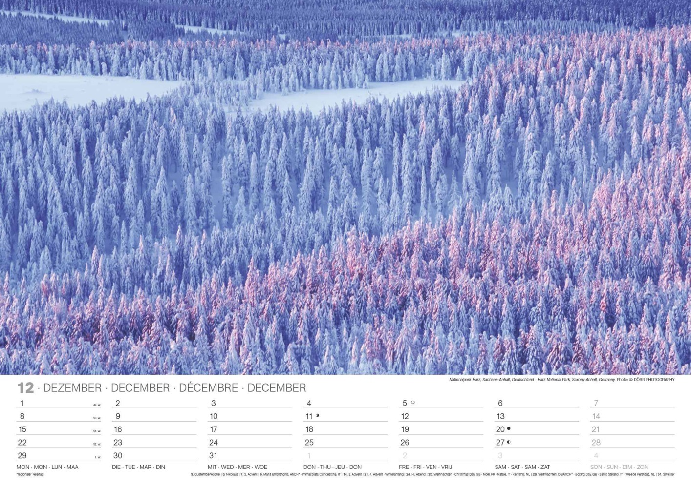 Bild: 4002725994271 | N NEUMANNVERLAGE - Malerische Wälder 2025 Wandkalender, 45x48cm,...