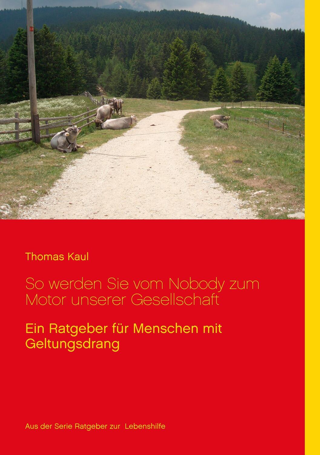 Cover: 9783735741158 | So werden Sie vom Nobody zum Motor unserer Gesellschaft | Thomas Kaul