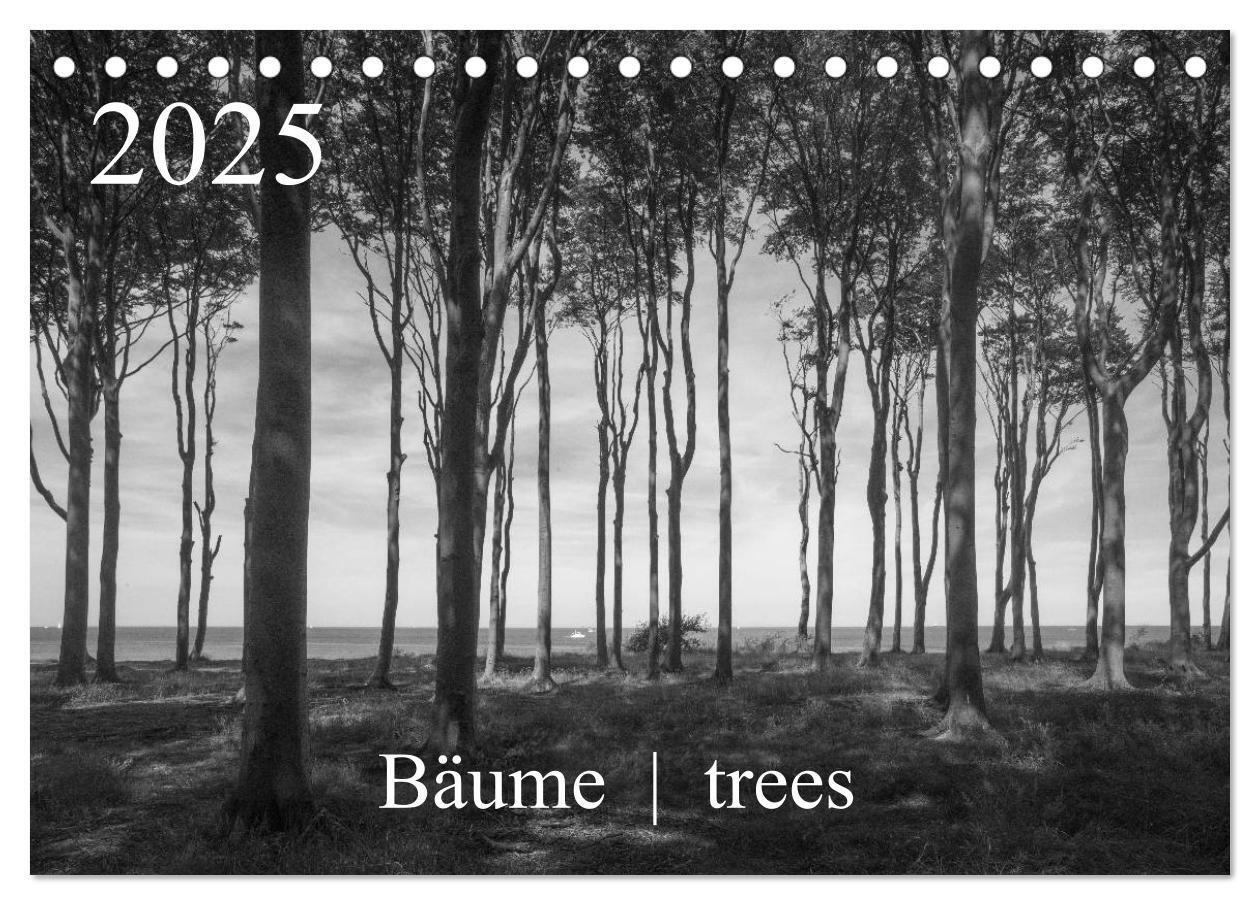 Cover: 9783435776924 | Bäume trees 2025 (Tischkalender 2025 DIN A5 quer), CALVENDO...