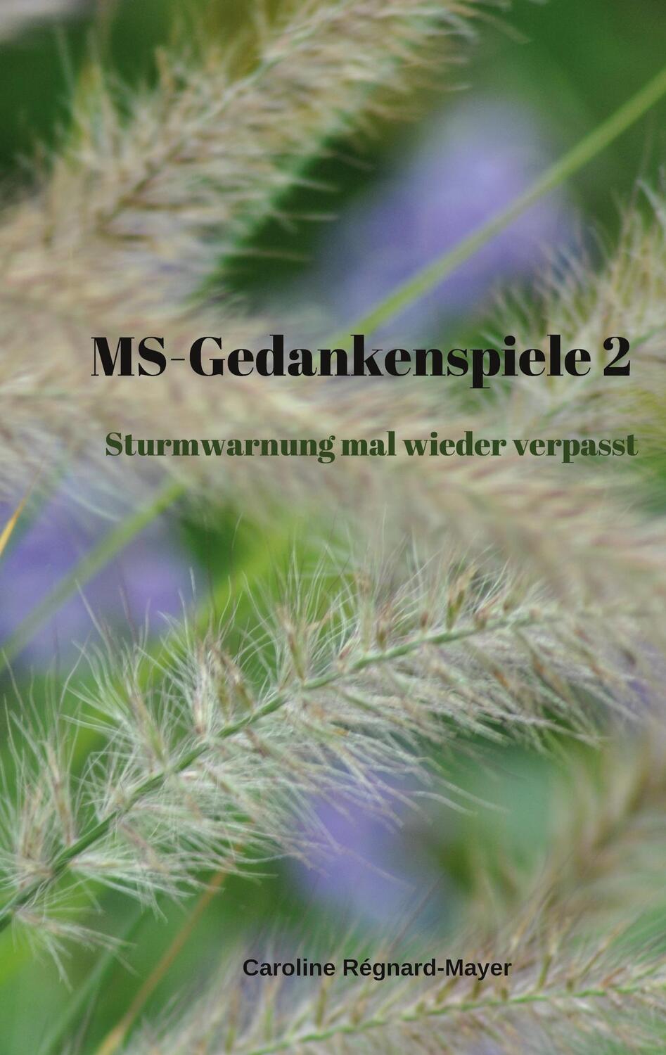 Cover: 9783741242847 | MS-Gedankenspiele 2 | Sturmwarnung mal wieder verpasst | Régnard-Mayer