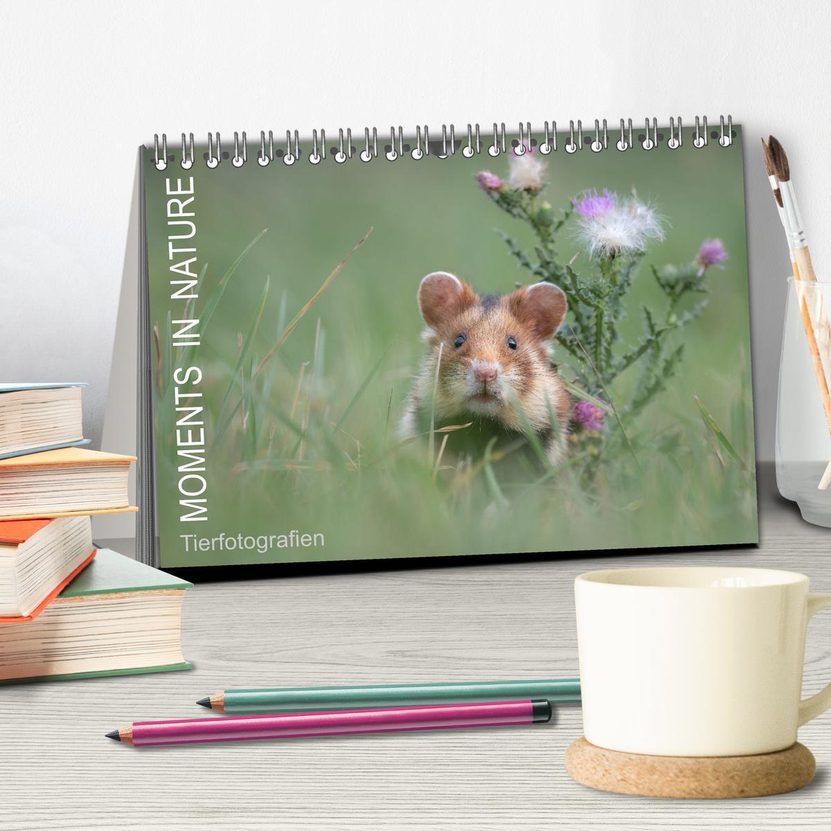 Bild: 9783435081769 | Moments in Nature (Tischkalender 2025 DIN A5 quer), CALVENDO...