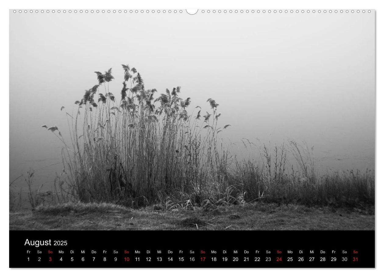 Bild: 9783435567225 | Monochrom 2025 (Wandkalender 2025 DIN A2 quer), CALVENDO...