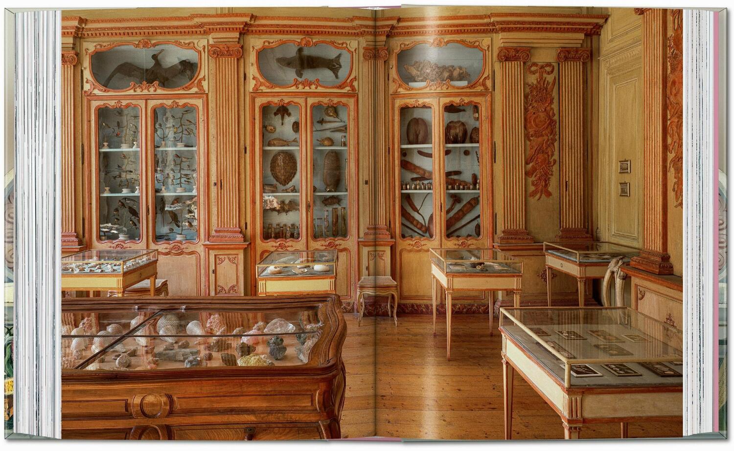 Bild: 9783836593786 | Massimo Listri. Cabinet of Curiosities. 40th Ed. | Paolucci (u. a.)