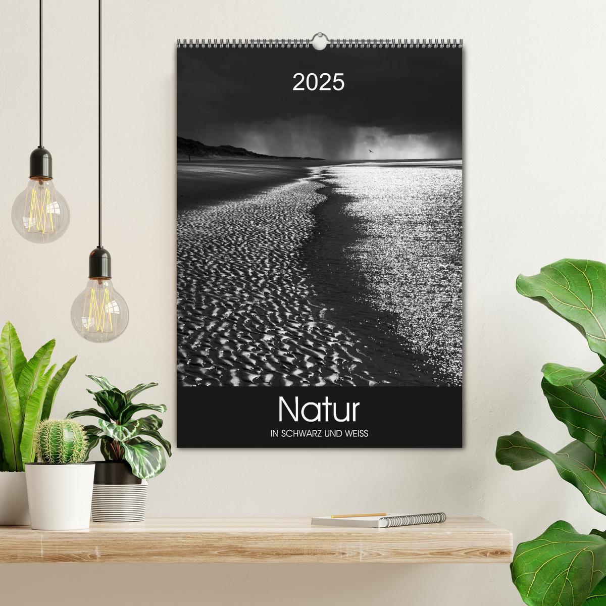 Bild: 9783457034699 | Natur in Schwarz und Weiß (Wandkalender 2025 DIN A2 hoch), CALVENDO...