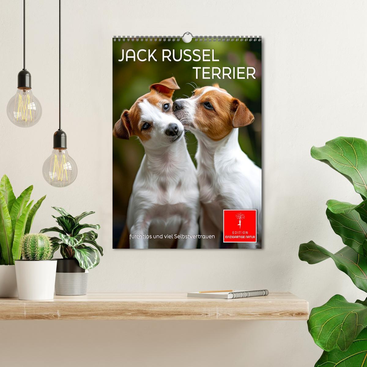 Bild: 9783383778780 | Jack Russel Terrier - furchtlos und viel Selbstvertrauen...