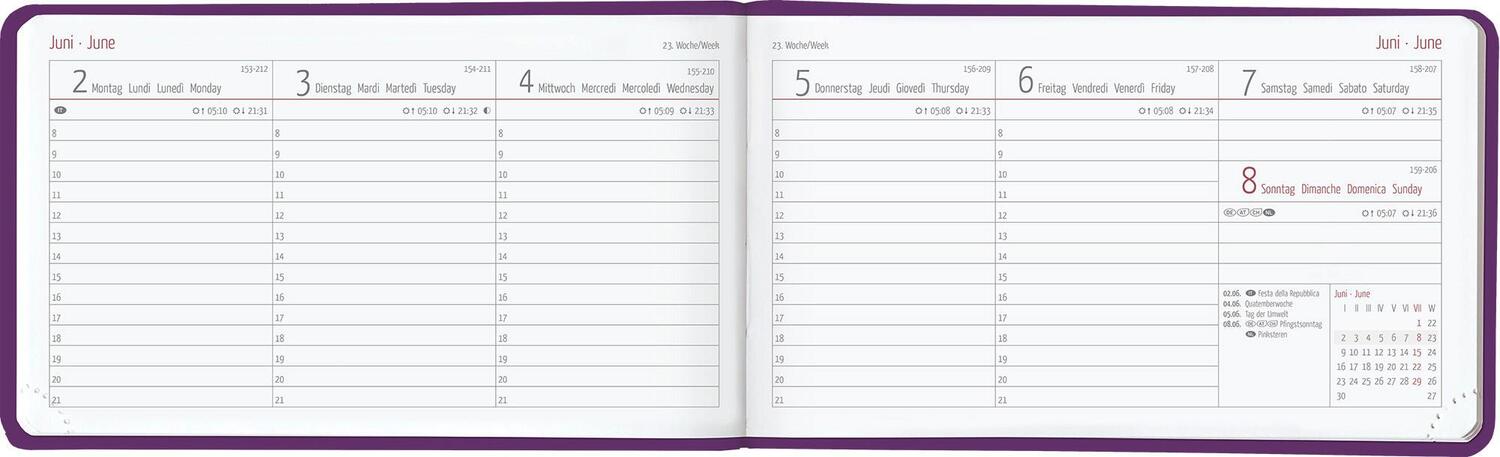 Bild: 4251732342685 | Ladytimer TO GO Deluxe Purple 2025 - Taschen-Kalender 15,3x8,7 cm-...