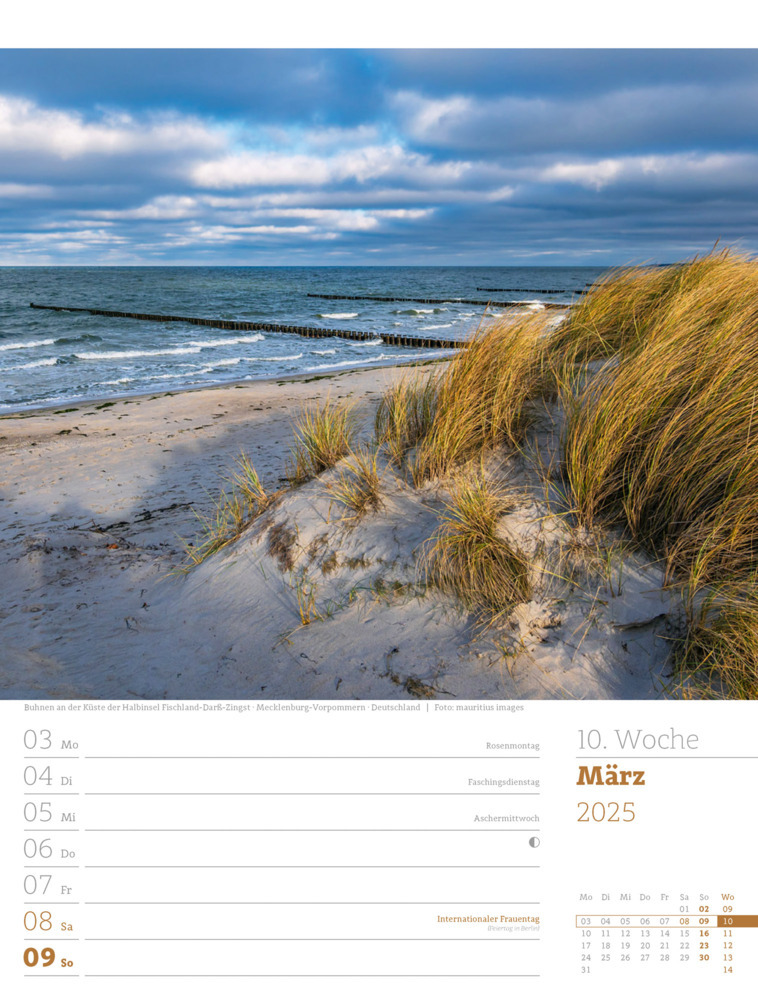 Bild: 9783838435039 | Am Meer - Wochenplaner Kalender 2025 | Ackermann Kunstverlag | 56 S.