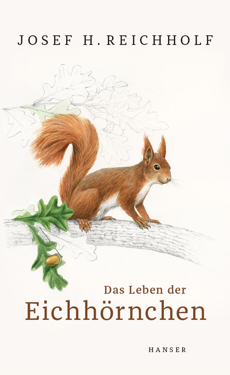 Cover: 9783446264076 | Das Leben der Eichhörnchen | Josef H. Reichholf | Buch | 176 S. | 2019