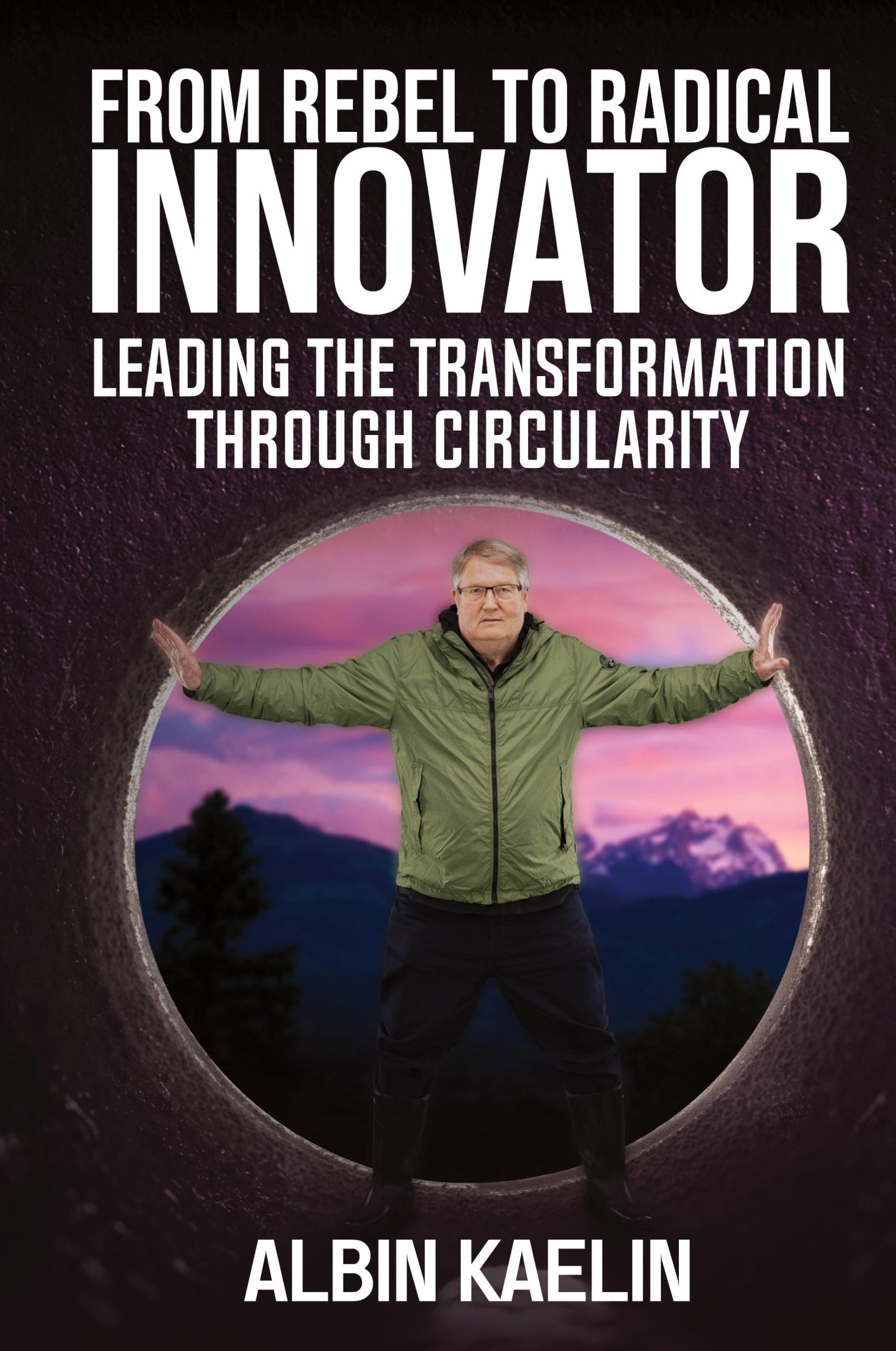 Cover: 9781637352847 | From Rebel to Radical Innovator | Albin Kaelin | Taschenbuch | 2024