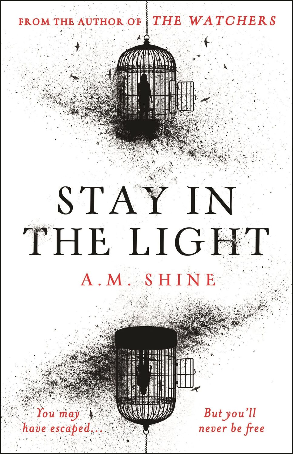 Cover: 9781804547939 | Stay in the Light | A M Shine | Buch | Englisch | 2024