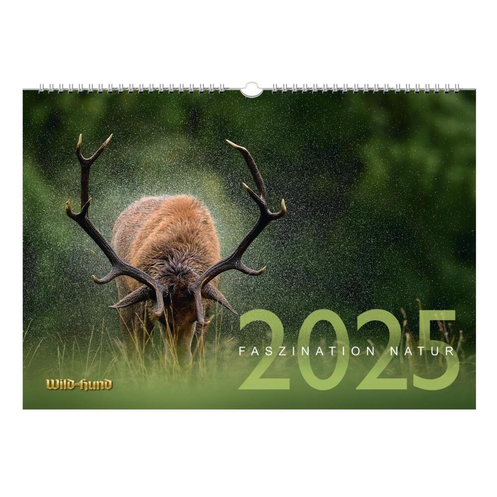 Cover: 9783897152731 | Faszination Natur Kalender 2025 | Redaktion WILD UND HUND | Kalender