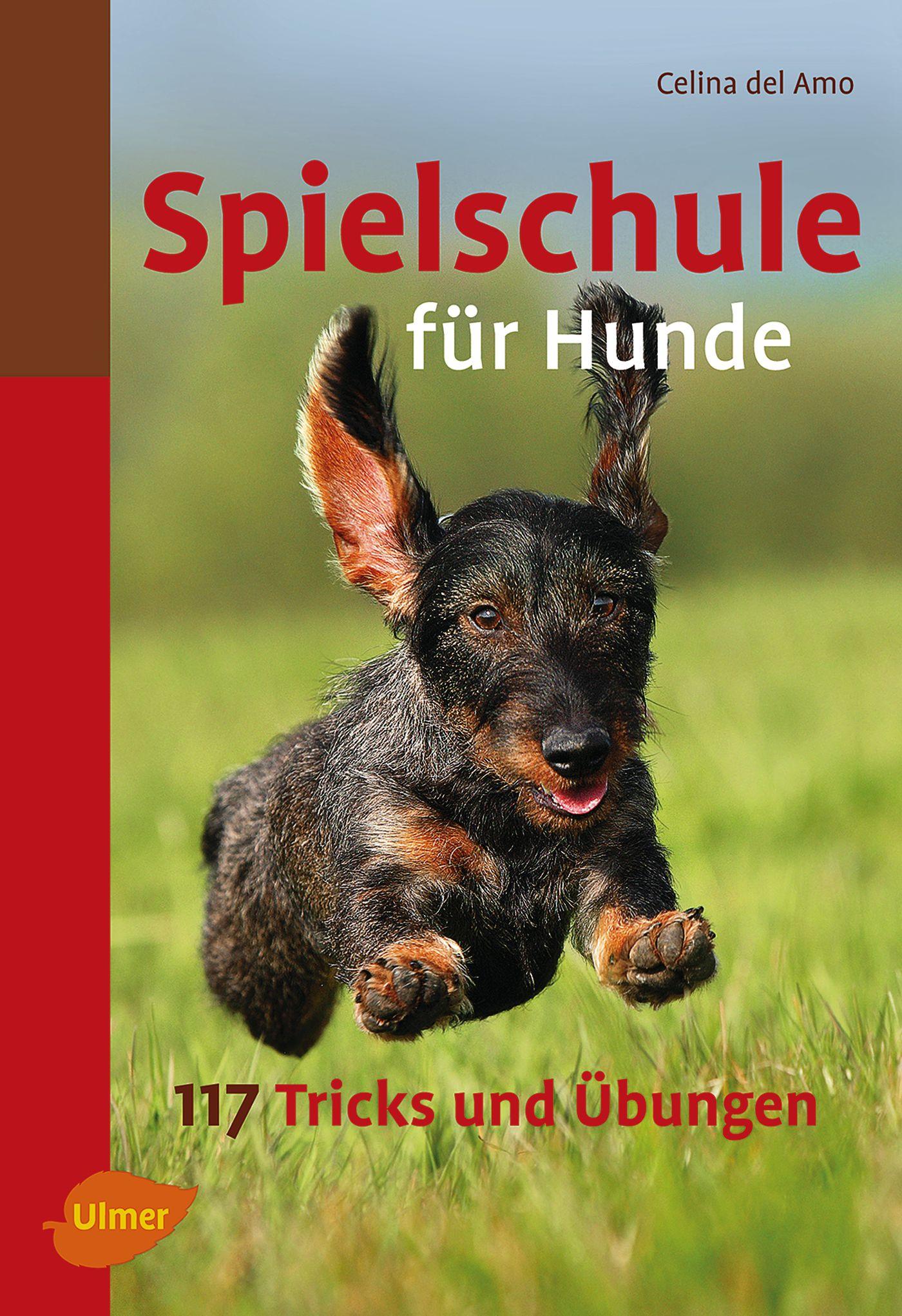 Cover: 9783800167470 | Spielschule für Hunde | Celina DelAmo | Taschenbuch | 188 S. | Deutsch