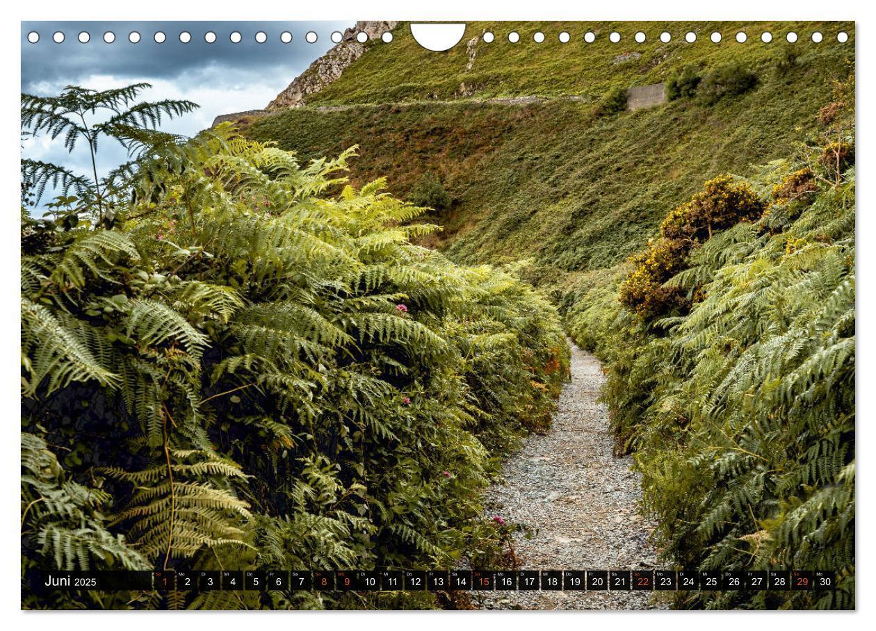 Bild: 9783435158904 | Irland-Liebe (Wandkalender 2025 DIN A4 quer), CALVENDO Monatskalender