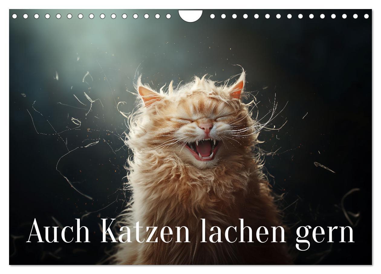 Cover: 9783457201985 | Auch Katzen lachen gern (Wandkalender 2025 DIN A4 quer), CALVENDO...