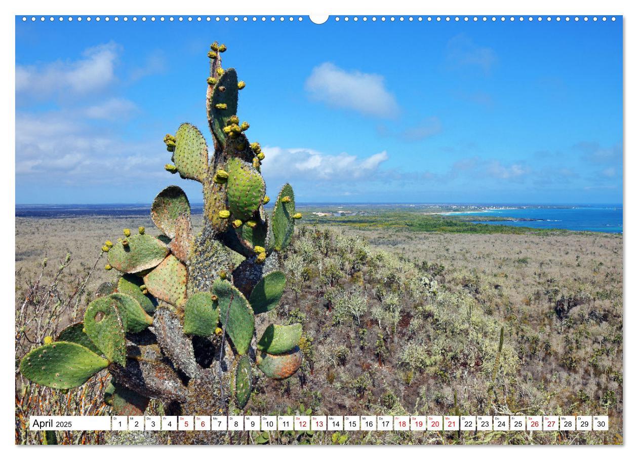 Bild: 9783383907241 | Galápagos - Die verwunschenen Inseln (Wandkalender 2025 DIN A2...