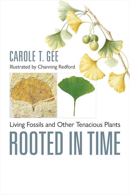 Cover: 9781421449388 | Rooted in Time | Living Fossils and Other Tenacious Plants | Gee