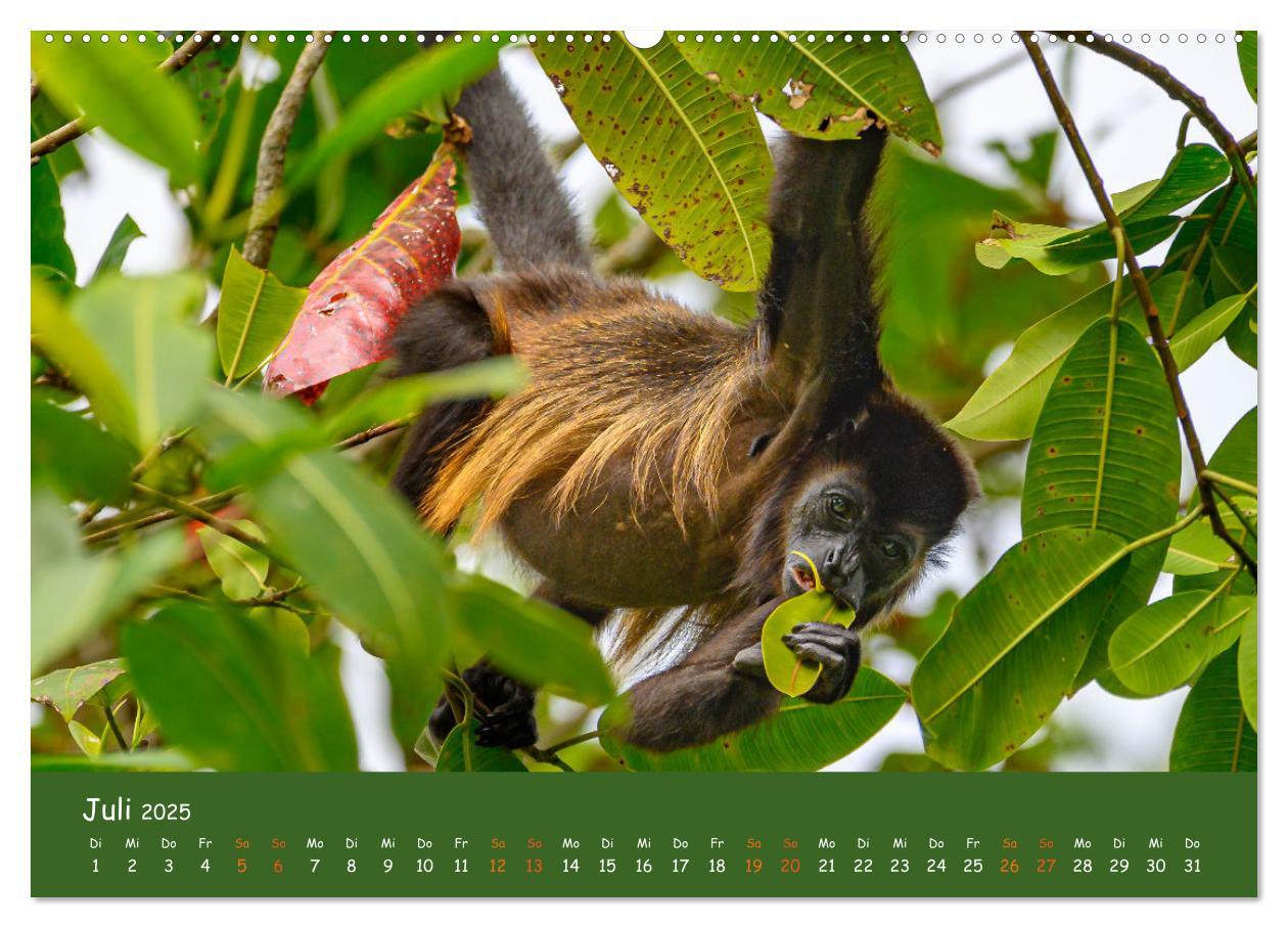 Bild: 9783383830099 | Costa Rica - Naturparadies zwischen Karibik und Pazifik...