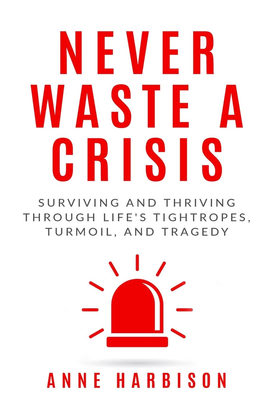 Cover: 9781946875853 | Never Waste a Crisis | Anne Harbison | Taschenbuch | Paperback | 2021