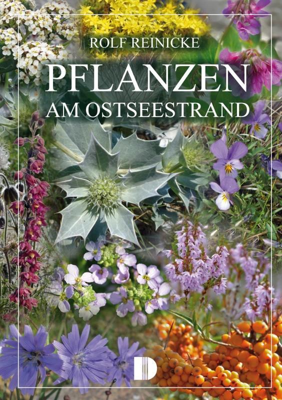 Cover: 9783944102139 | Pflanzen am Ostseestrand | Rolf Reinicke | Taschenbuch | 80 S. | 2015