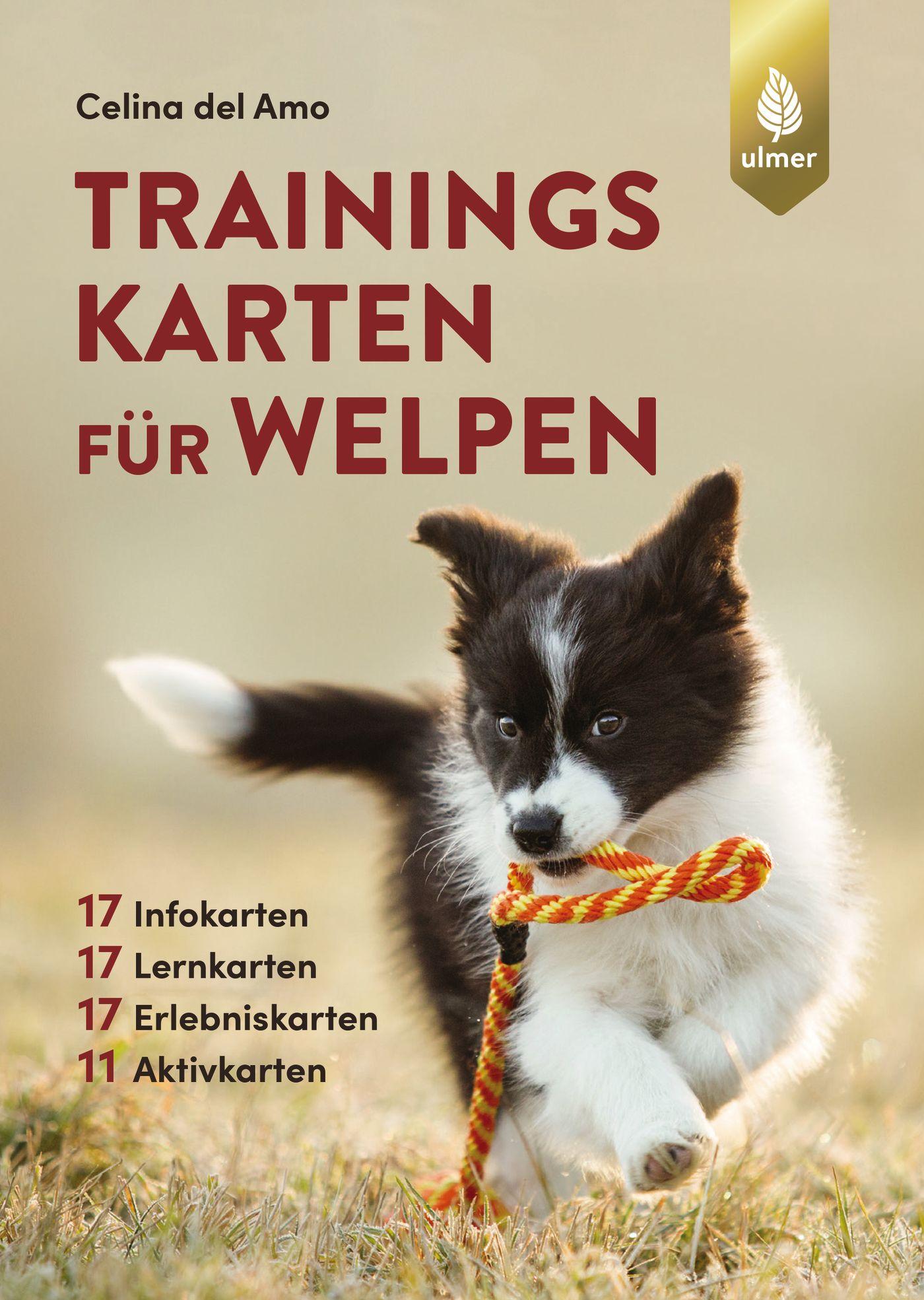 Cover: 9783818613136 | Trainingskarten für Welpen | Celina del Amo | Taschenbuch | 128 S.