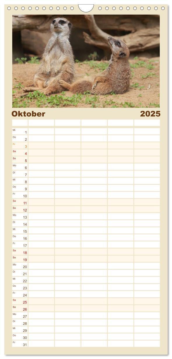 Bild: 9783457110782 | Familienplaner 2025 - Erdmännchen mit 5 Spalten (Wandkalender, 21 x...