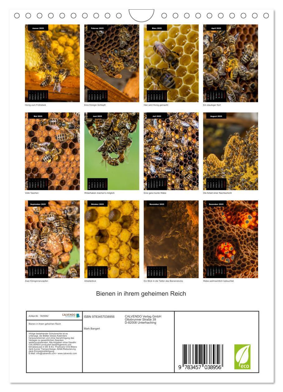 Bild: 9783457038956 | Bienen in ihrem geheimen Reich (Wandkalender 2025 DIN A4 hoch),...