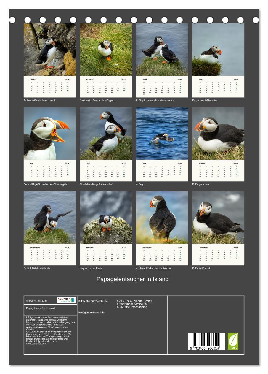 Bild: 9783435906314 | Papageientaucher in Island (Tischkalender 2025 DIN A5 hoch),...