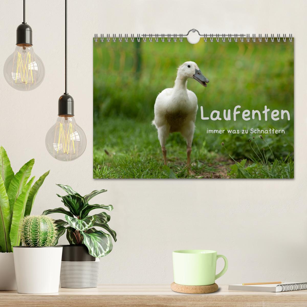 Bild: 9783435569359 | Laufenten immer was zu Schnattern (Wandkalender 2025 DIN A4 quer),...