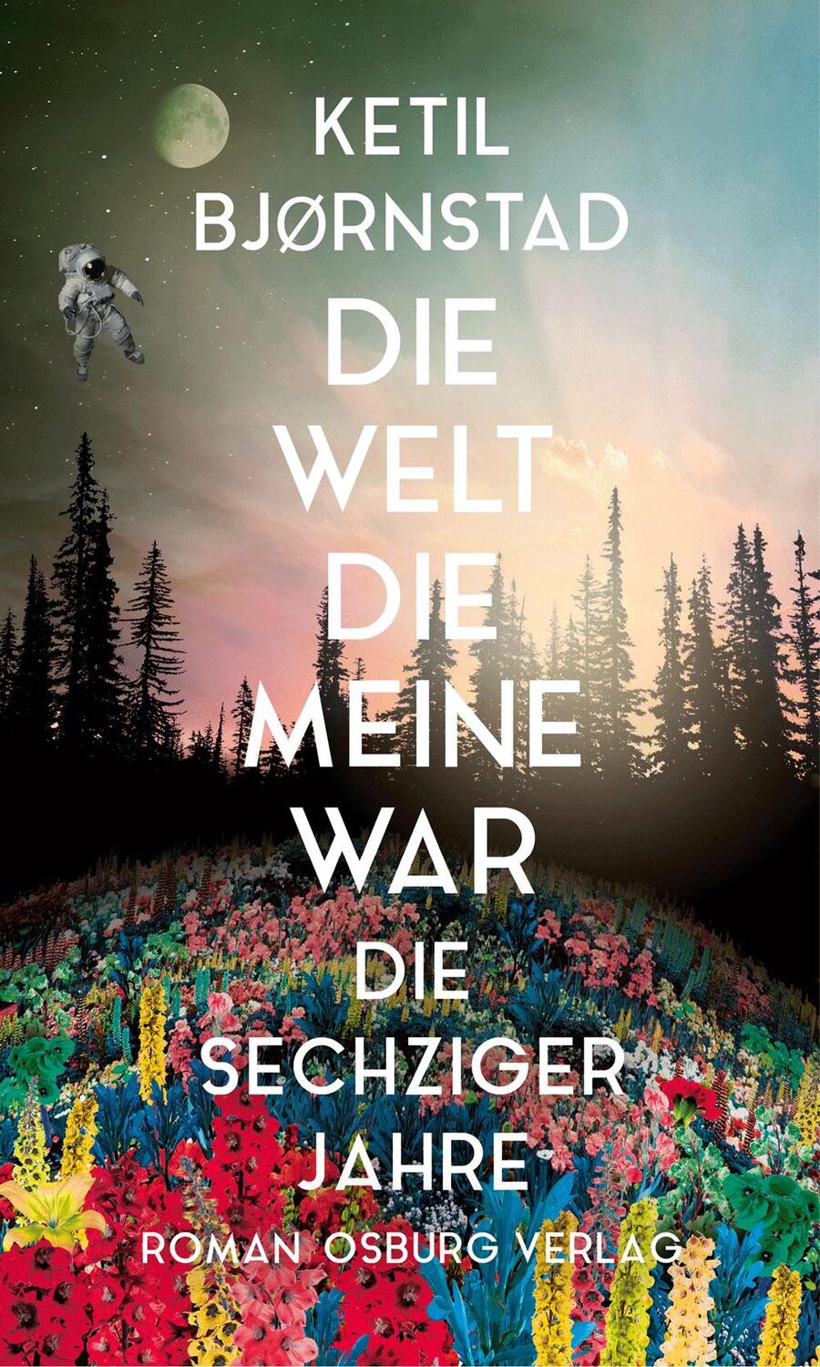 Cover: 9783955101633 | Die Welt, die meine war | Die sechziger Jahre. Roman | Bjoernstad