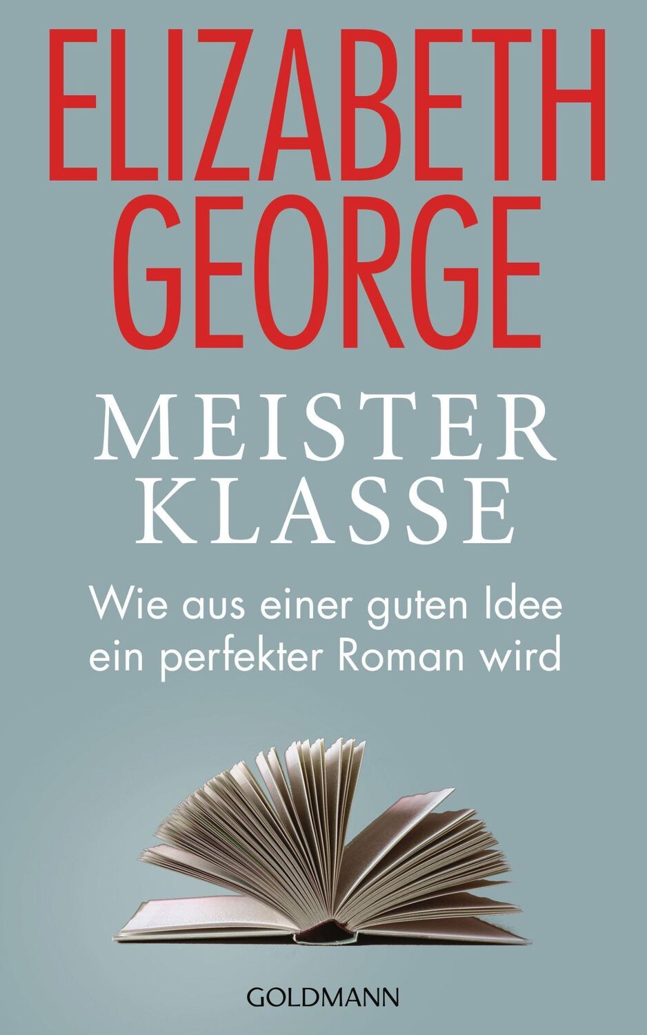 Cover: 9783442315628 | Meisterklasse | Wie aus einer guten Idee ein perfekter Roman wird