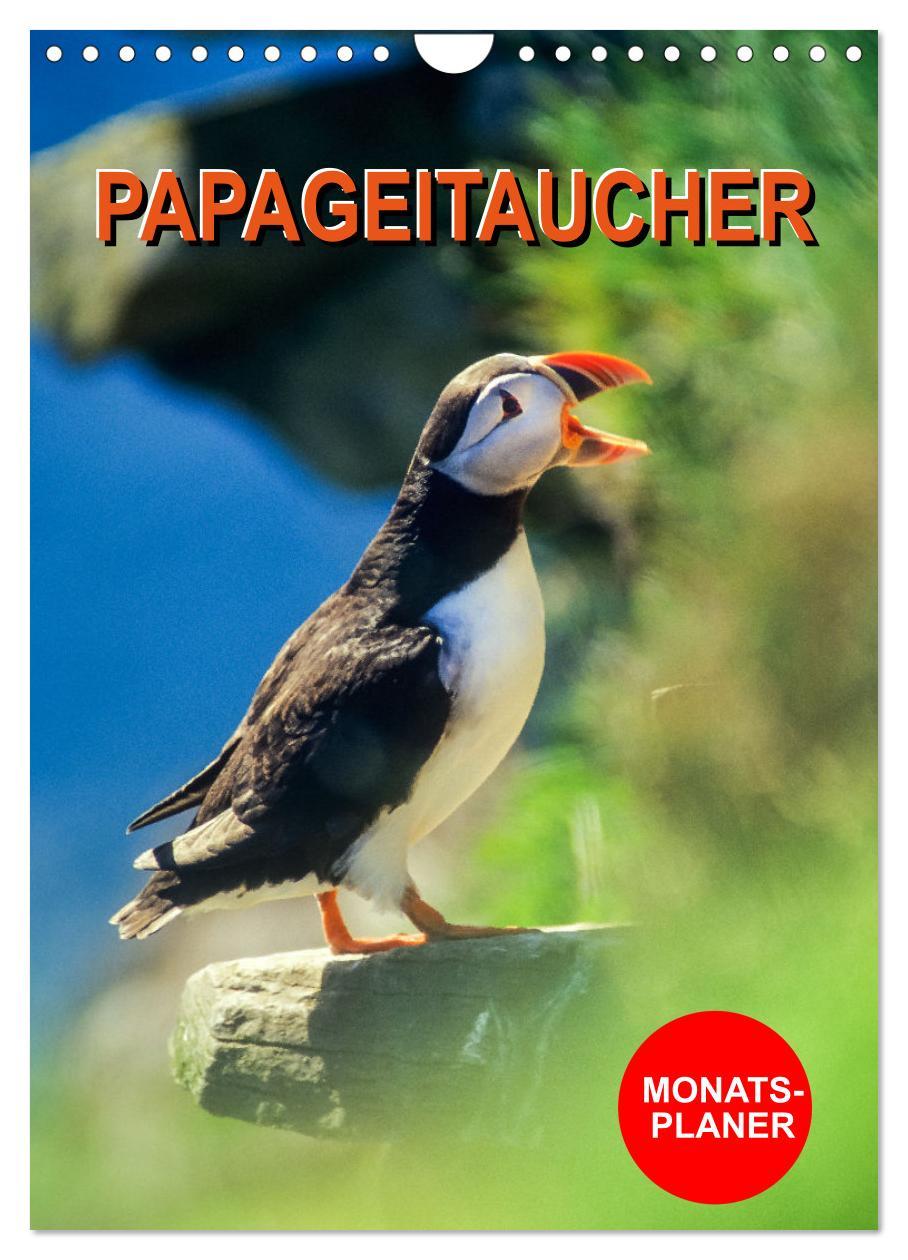 Cover: 9783435927678 | Papageitaucher Monatsplaner (Wandkalender 2025 DIN A4 hoch),...