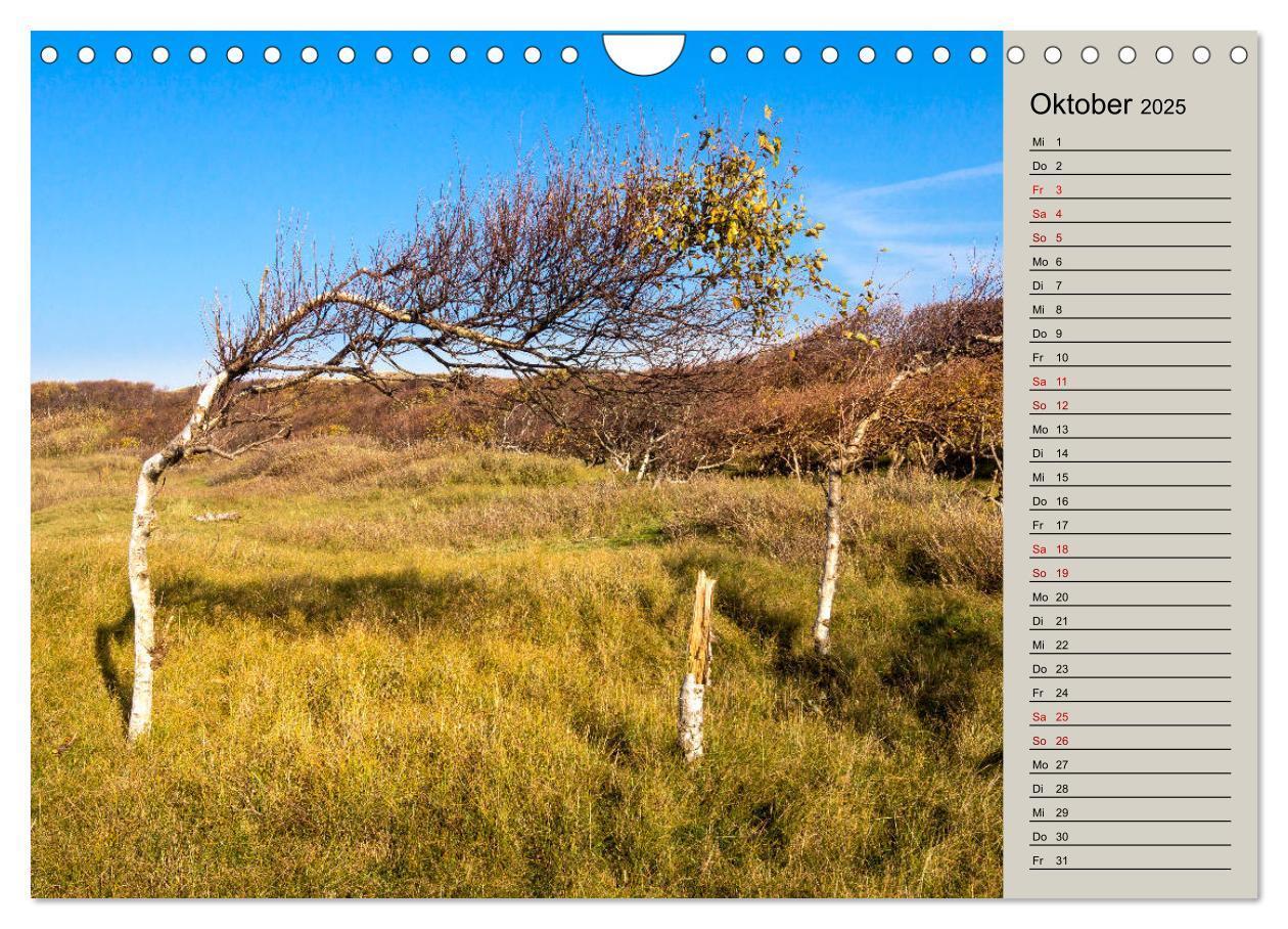 Bild: 9783435343959 | NORDERNEY Geburtstagskalender mit Planerfunktion (Wandkalender 2025...