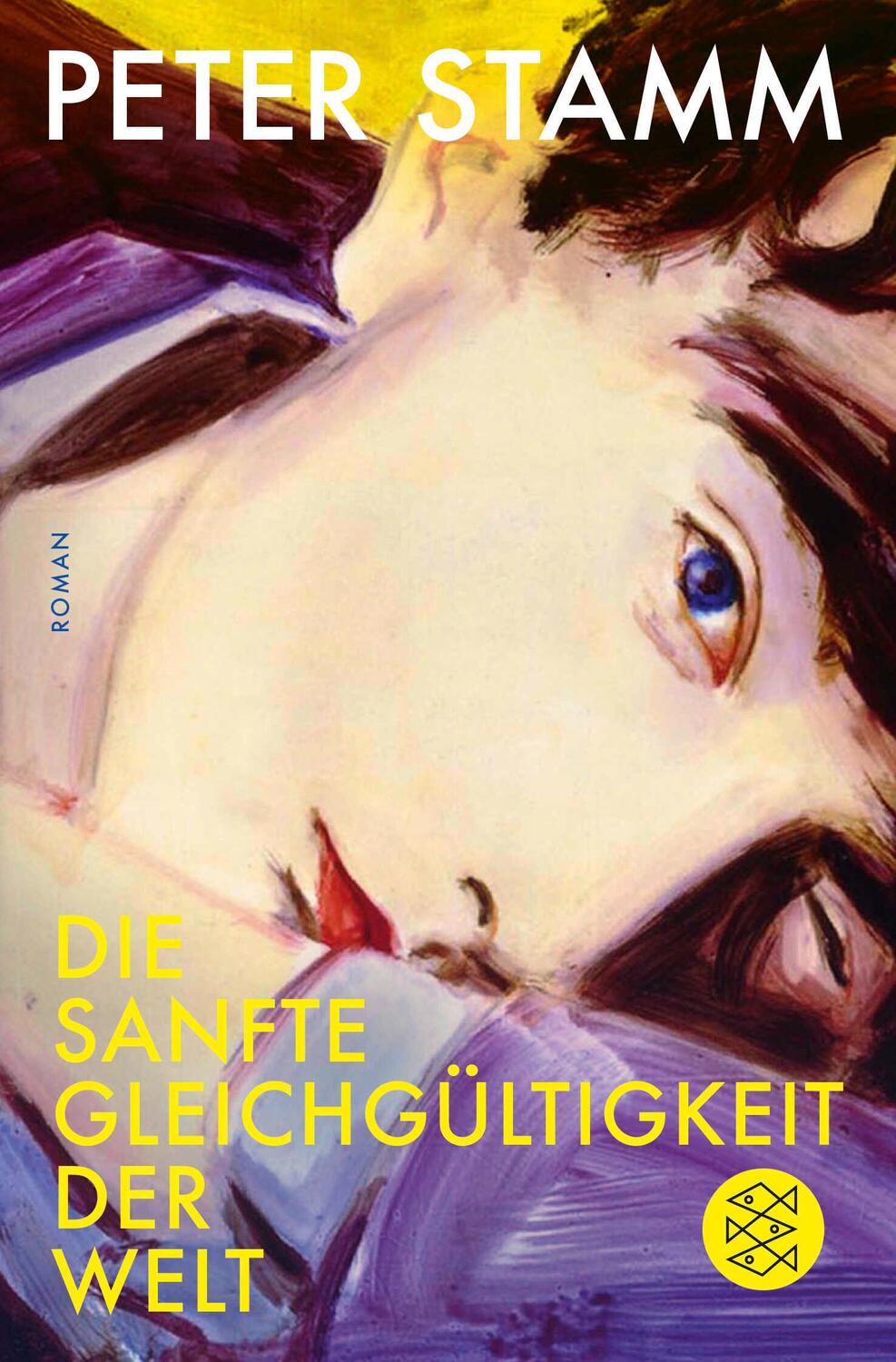 Cover: 9783596297849 | Die sanfte Gleichgültigkeit der Welt | Roman | Peter Stamm | Buch