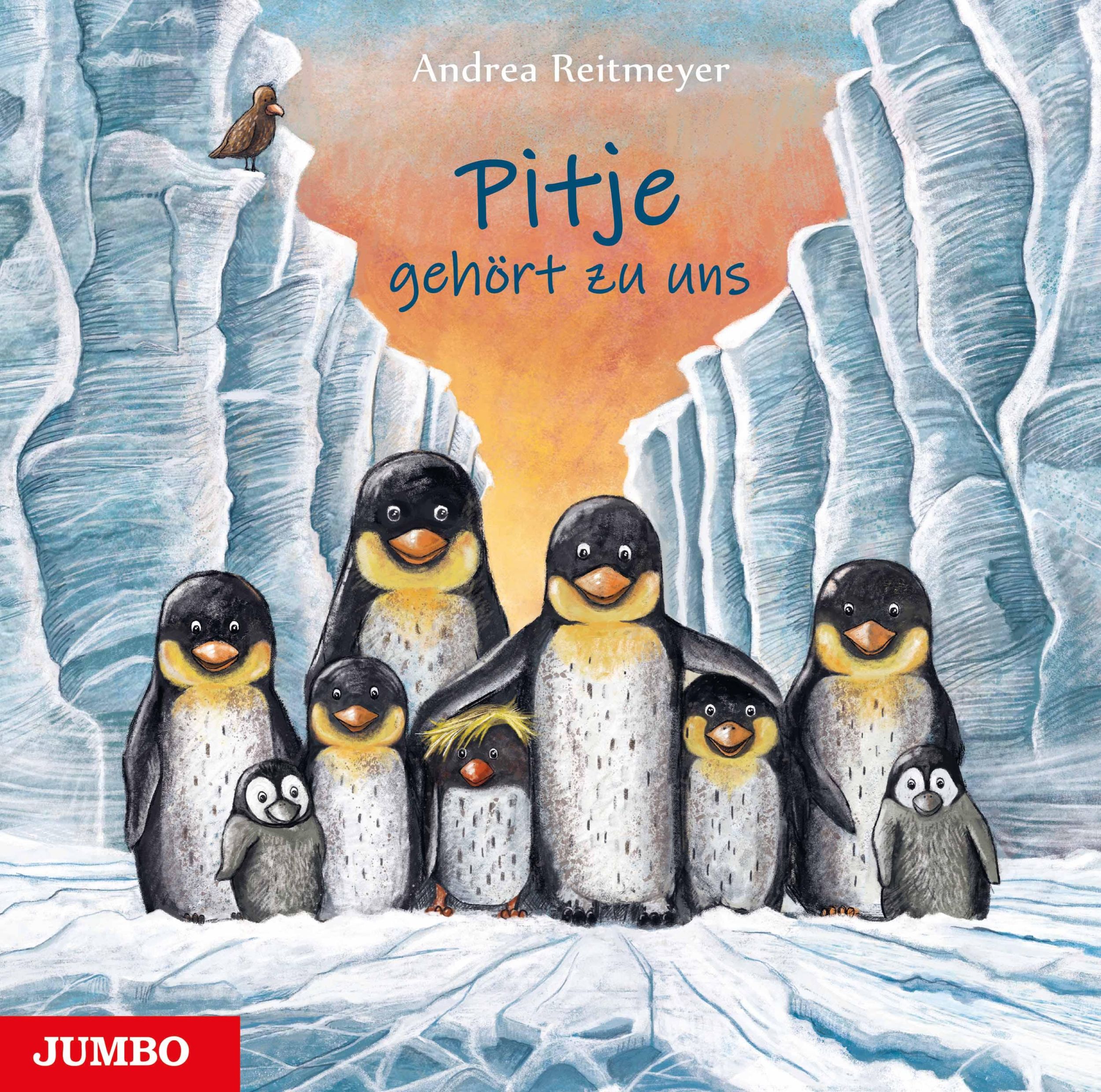 Cover: 9783833742088 | Pitje gehört zu uns | Andrea Reitmeyer | Taschenbuch | 36 S. | Deutsch