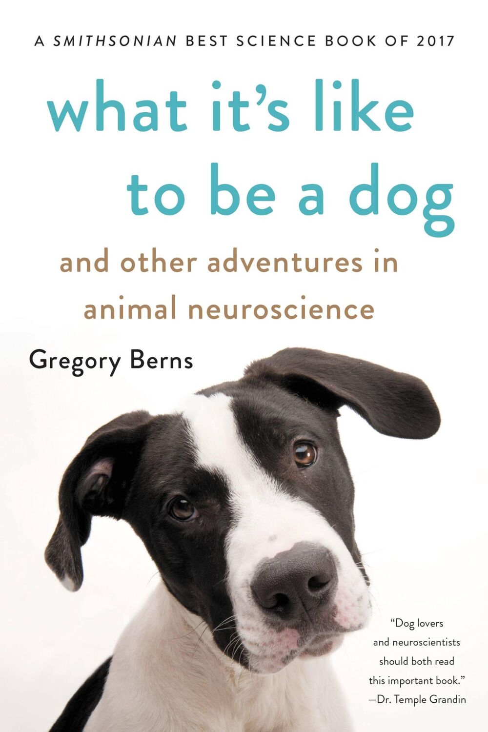 Cover: 9781541672994 | What It's Like to Be a Dog | Gregory Berns | Taschenbuch | Englisch