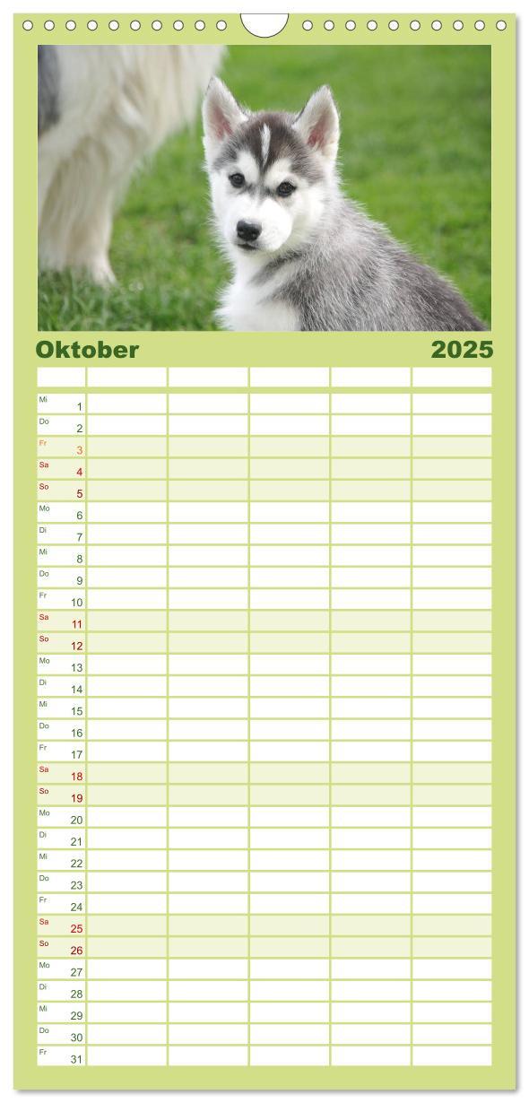 Bild: 9783457110348 | Familienplaner 2025 - Siberian Husky - der Urtyp mit 5 Spalten...