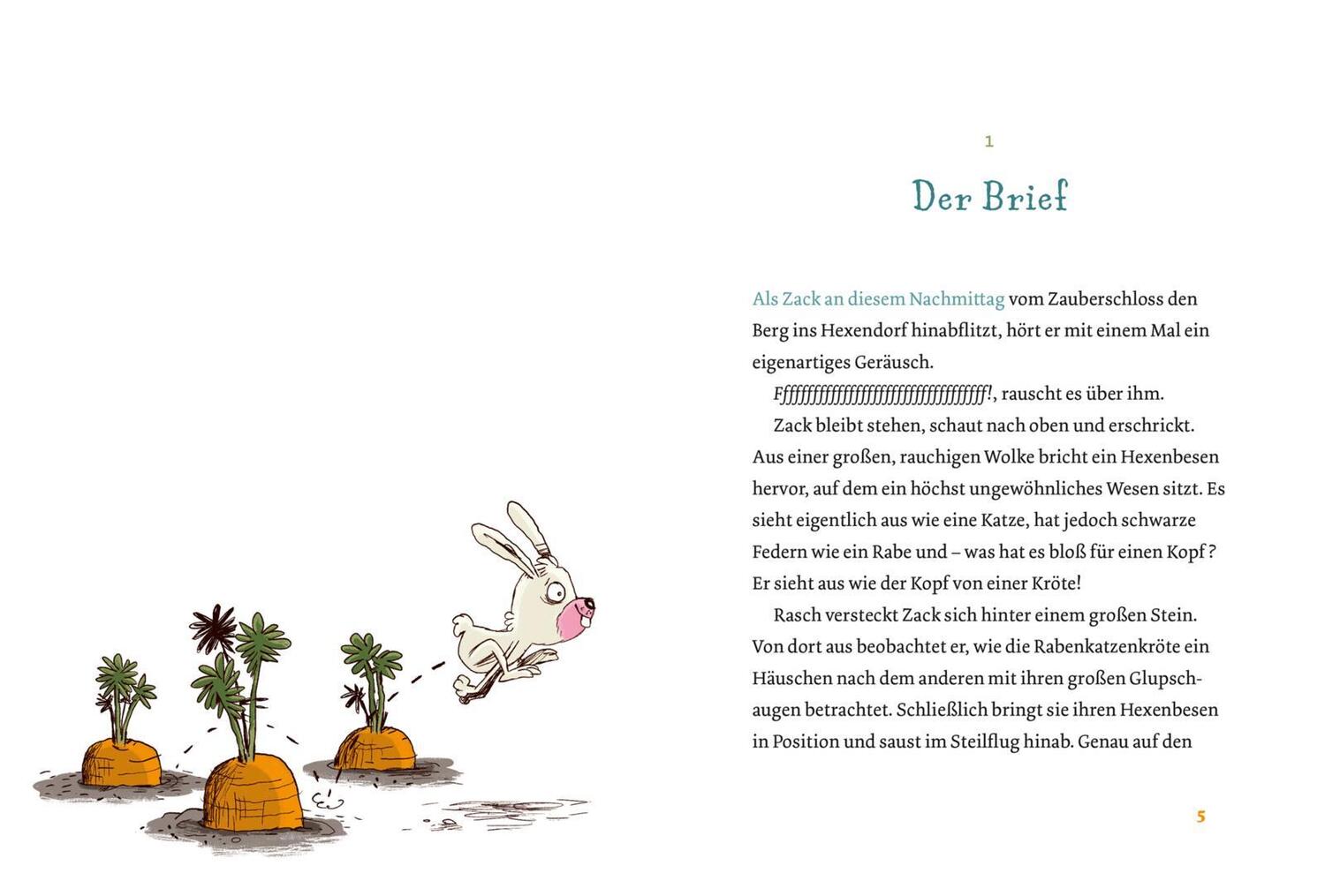 Bild: 9783551557995 | Coco und Zack - Im Internat der Hexentiere | Anna Lott | Buch | 136 S.