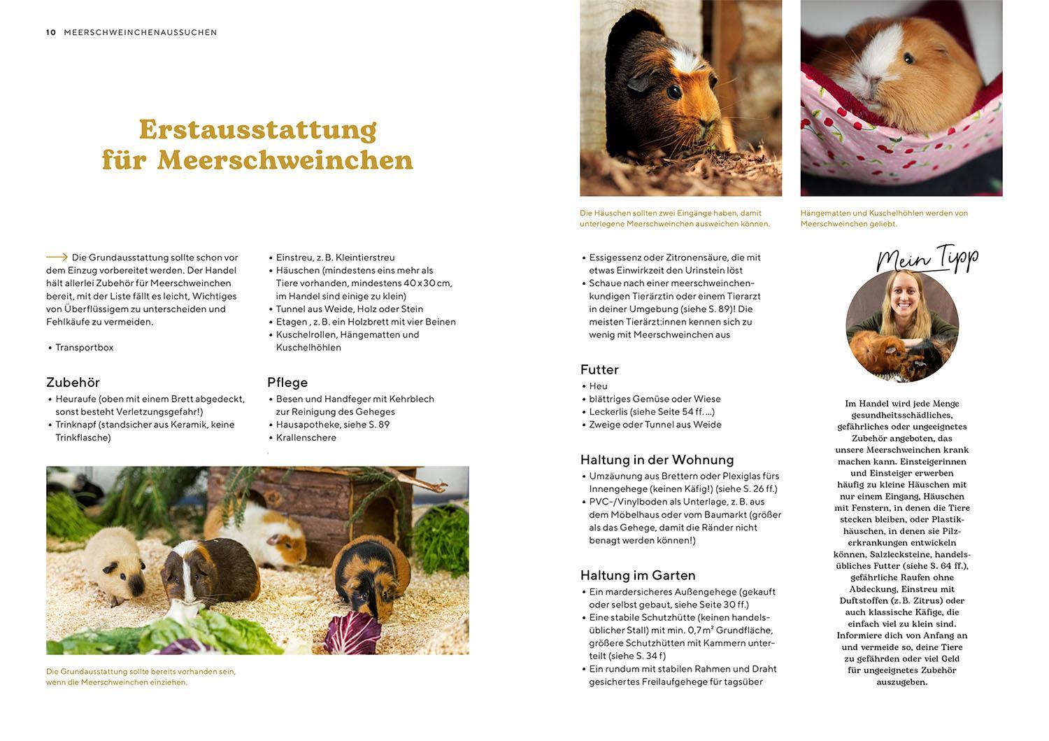 Bild: 9783440175668 | Meerschweinchen | Viola Schillinger | Taschenbuch | Mein Tier | 96 S.