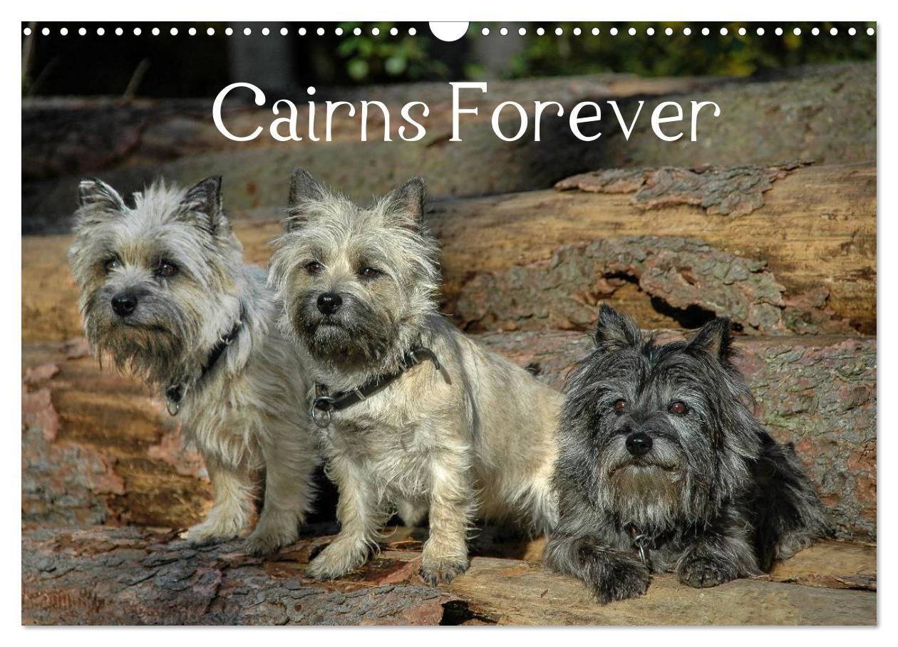 Cover: 9783435518111 | Cairns Forever (Wandkalender 2025 DIN A3 quer), CALVENDO...