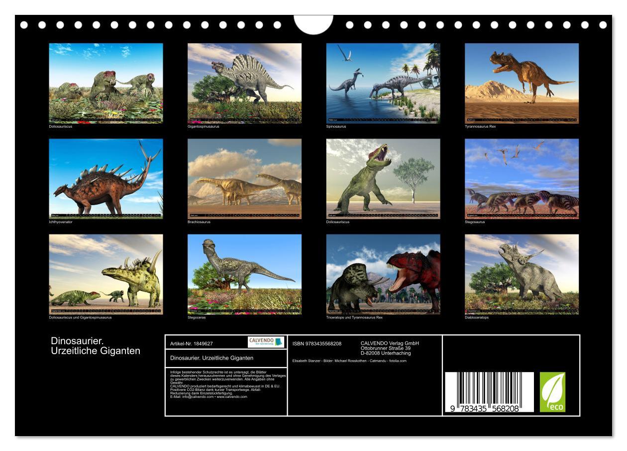 Bild: 9783435568208 | Dinosaurier. Urzeitliche Giganten (Wandkalender 2025 DIN A4 quer),...