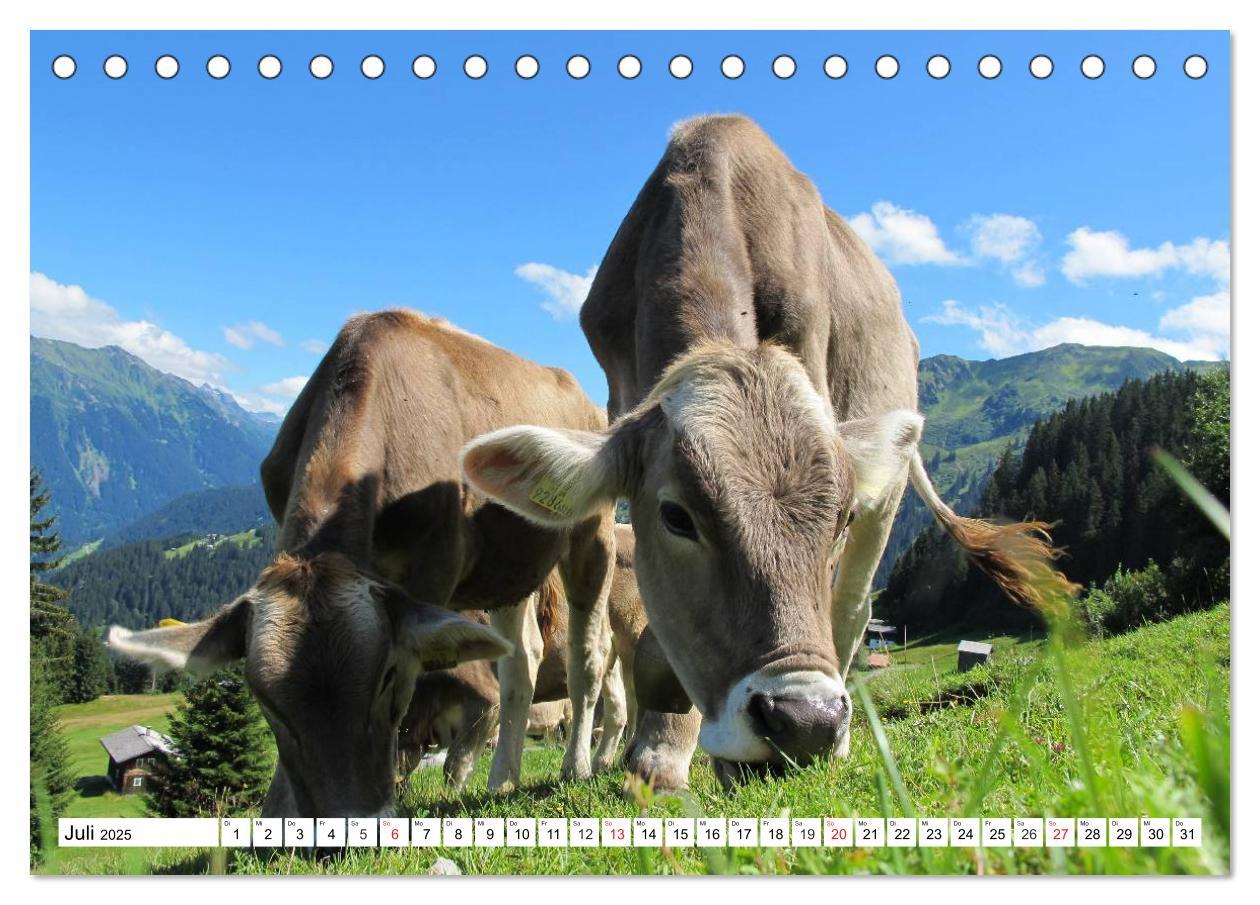 Bild: 9783435481491 | Geliebte Steiermark im Herzen Österreichs (Tischkalender 2025 DIN...