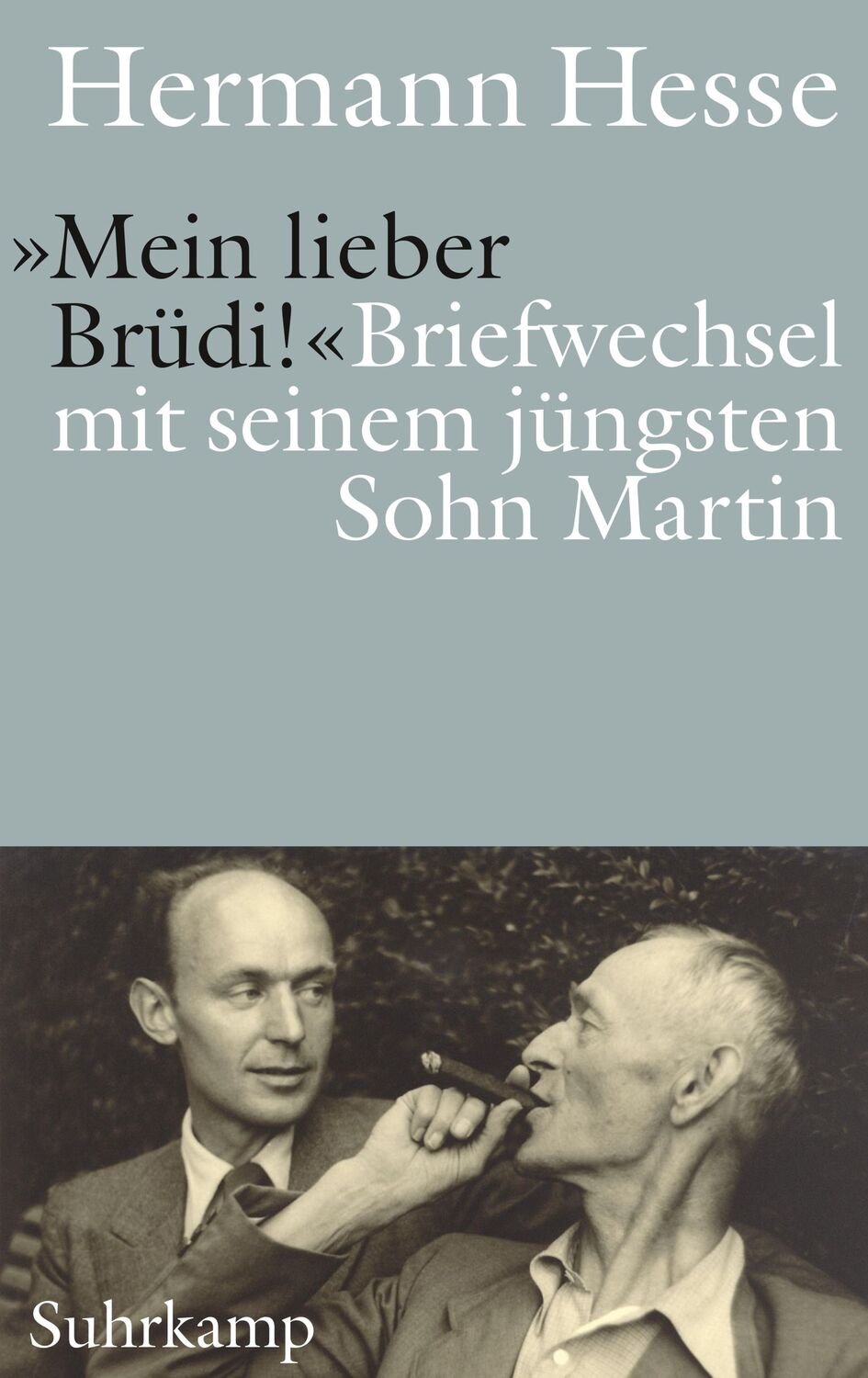 Cover: 9783518430842 | 'Mein lieber Brüdi!' | Briefwechsel mit seinem jüngsten Sohn Martin