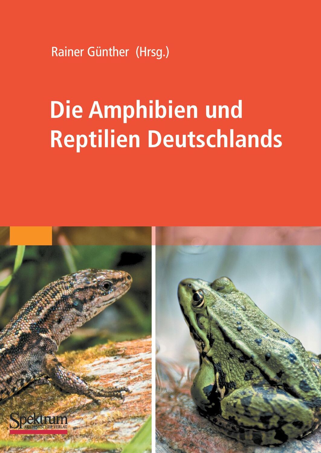 Cover: 9783827423221 | Die Amphibien und Reptilien Deutschlands | Rainer Günther | Buch | x